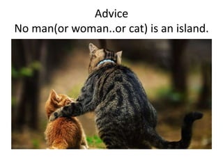 Advice
No man(or woman..or cat) is an island.

 