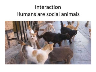 Interaction
Humans are social animals

 
