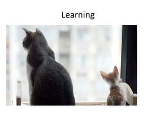 Learning

 