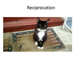 Reciprocation

 