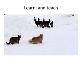 Learn, and teach

 