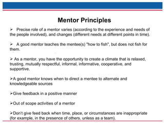 Mentoring Principles Mentoring Clinic Ppt | PPT