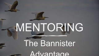 MENTORING
The Bannister
 