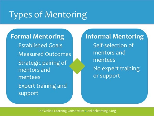 Development of Training and Mentoring Program