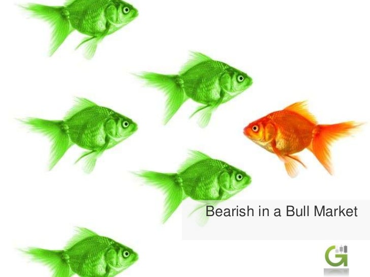 Stock market mentor options