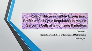 Role of Hif-1α in mRNA Expression:
Profile of Cell Cycle Regulators in Mouse
Sarcoma Cells after Ionizing Radiation
Grace Guo
North Carolina School of Science and Mathematics
Durham, NC

 
