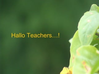 Hallo Teachers…!