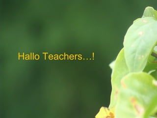 Hallo Teachers…!
 