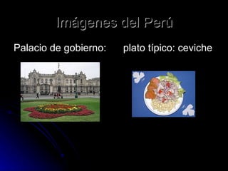 Imágenes del Perú Palacio de gobierno:  plato típico: ceviche 