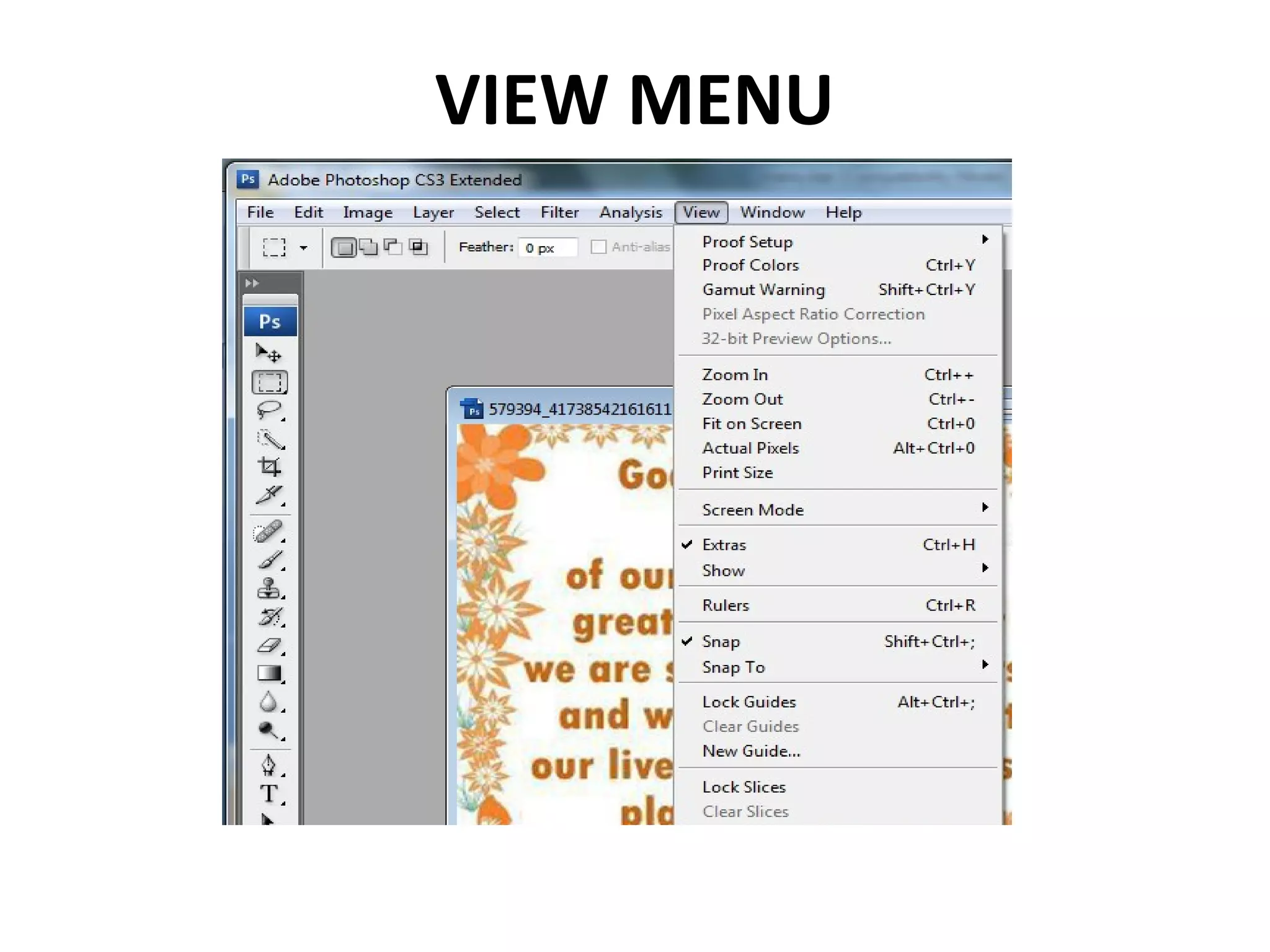 VIEW MENU
 