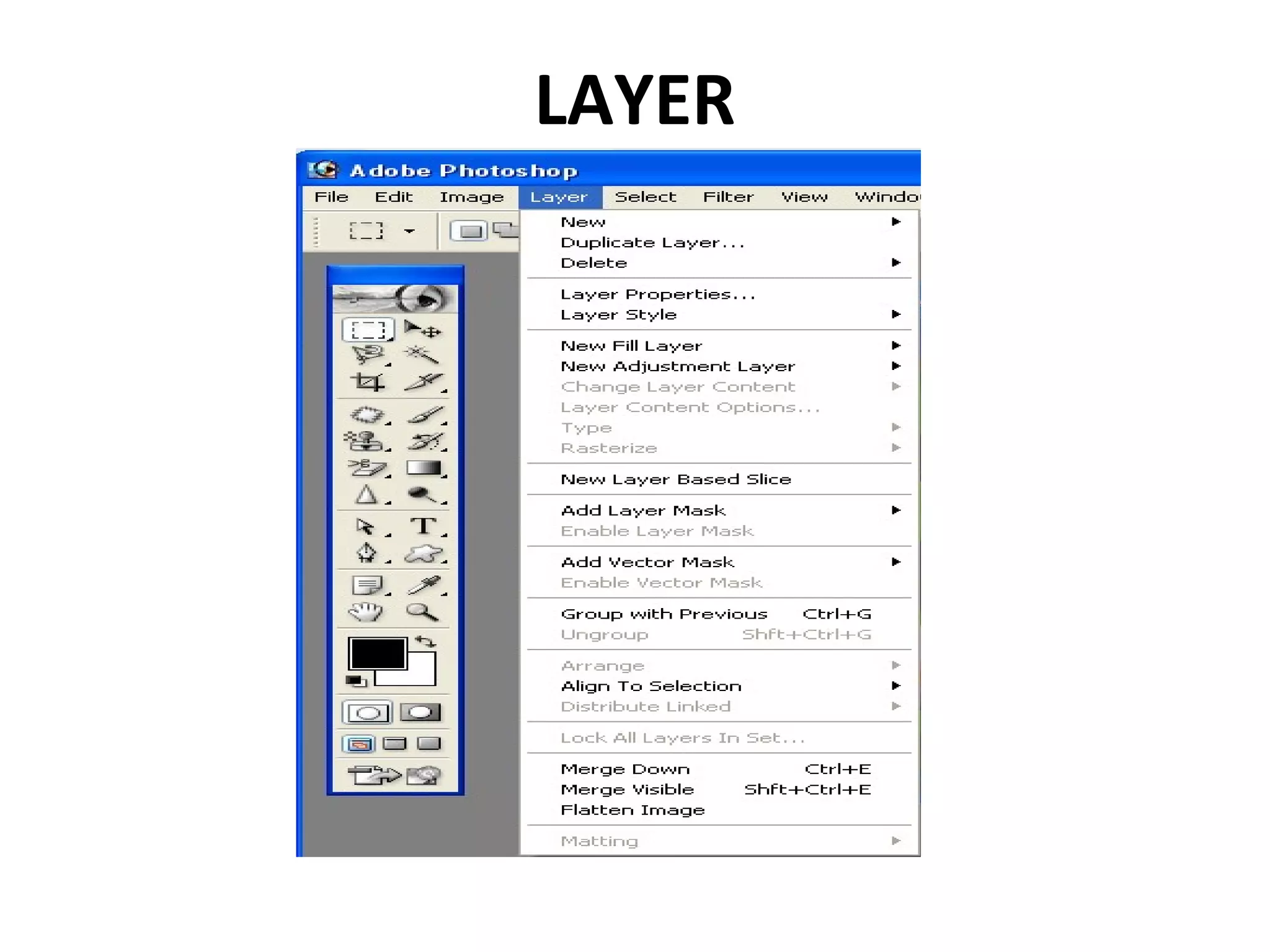 LAYER
 