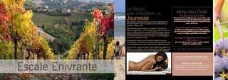 Le Raisin,
                   une «intuition»                                     de                             MENU MILLÉSIME
                   Jeunesse
                                                                                                           Bain Nectar Tannique de Raisin
                                                                                                 C’est tout l’art de la vinothérapie qui se retrouve dans ce Nec-
                                                                                                 tar de Raisin à travers les vertus régénérantes et protectrices
                   Pour parfaire la connaissance des vins, du raisin et l’appréciation de        du raisin. Ses notes fruitées évoquent la maturité des raisins
                   notre soin Intuition de Jeunesse, l’expérience de randonner dans le                                  rouges sélectionnés .
                   vignoble est indispensable.
                   Pour découvrir un terroir marne ou sol calcaire, un domaine, des                 Friction Granité Sec Aromatique au Raisin
                   cépage, des appellations ....des vins de garde qui s’affineront au fur et à     La richesse du cocktail pulpe de raisin et huile de pépins
                   mesure des décennies. Pour savoir qu’un millésime n’est pas seulement          qui est au coeur du granité lisse la peau tout en libérant des
                   l’année de naissance du vin, mais encore tout un travail de la vigne et             essences aromatiques profondément stimulantes.
                   un moment de vie avec ses nuances, ses saveurs ....ses bienfaits pour le
                   corps et une certitude de jeunesse.                                            Enveloppement Appellation bleu&marine à la
                   Les bienfaits du raisin sont connus depuis l’antiquité. Les progrès                        Pulpe de Raisin
                   scientifiques de ces dernières années ont permis de démontrer les méca-         Soin extra-hydratant pour les peaux asséchées, fatiguées
                   nismes moléculaires qui en font un allié incontournable de votre peau.                      ou après une exposition solaire.

                   Pulpe de raisins rouges pour purifier, huile de pépins pour hydrater, en-
                   veloppement remodelant ... sont autant d’occasions de plaisir pour votre
                   peau proposée par bleu&marine pour être dégustées sans modération.
                                                                                                 A LA CAVE DE DÉGUSTATION

                                                                                                    CURE HYDRATANTE PREMIER CRU
                                                                                                    Massage Hydratant à l’Huile de Pépins de Raisin




Escale Enivrante
                                                                                                             MAssAgE gRAND CRU
                                                                                                  Massage enivrant aux Pochons de Pulpe de Raisin
                                                                                                  Rouge chauffés au bain-marie, sur peau hydratée à
                                                                                                    l’huile de pépins de raisins première pression.



                                                                                                                                                               17
 