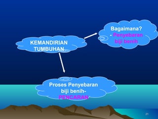 Bagaimana?
                         - Penyebaran
KEMANDIRIAN                biji benih
 TUMBUHAN




     Proses Penyebaran
         biji benih-
        PENCARAN


                                        21
 