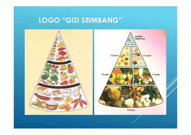Menu seimbang5