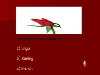 1 Apakah warna bunga ini? ungu b) Kuning c) merah