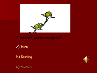 2 Apakah warna bunga ini? biru b) Kuning c) merah