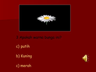3 Apakah warna bunga ini? putih b) Kuning c) merah