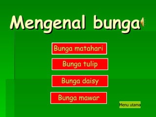 Mengenal bunga Bunga matahari Bunga daisy Bunga mawar Bunga tulip Menu utama