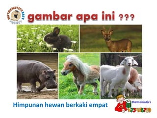 Himpunan hewan berkaki empat
 