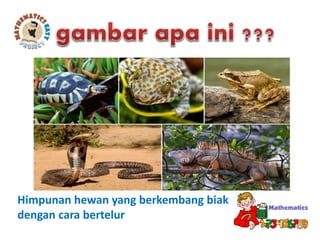 Himpunan hewan yang berkembang biak
dengan cara bertelur
 
