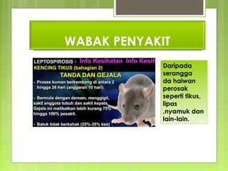 WABAK PENYAKIT
Daripada
serangga
da haiwan
perosak
seperti tikus,
lipas
,nyamuk dan
lain-lain.
 