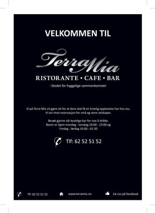 Menu Ristorante Terra Mia, Hamar, Norway 2015