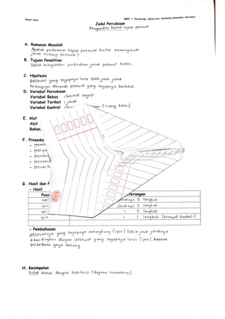 Kurikulum Merdeka. Bab. Merancang Percobaan (Analisis Pesawat Kertas) Kelas 7B SMP Ibrahimy 1 Sukorejo.pdf