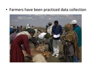 Achievement of the community based sheep breeding project in Menz area