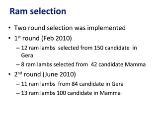 Achievement of the community based sheep breeding project in Menz area