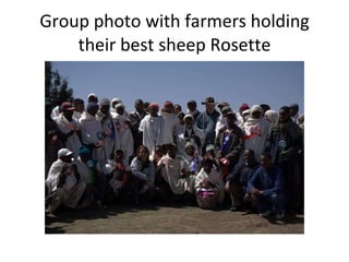 Achievement of the community based sheep breeding project in Menz area