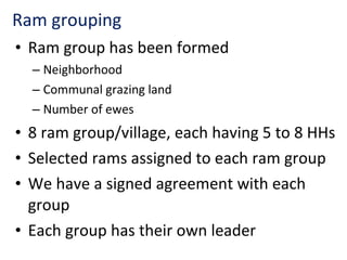 Achievement of the community based sheep breeding project in Menz area