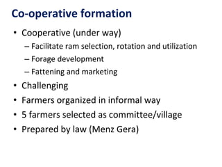 Achievement of the community based sheep breeding project in Menz area