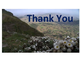 Achievement of the community based sheep breeding project in Menz area