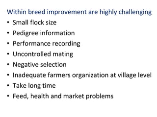 Achievement of the community based sheep breeding project in Menz area