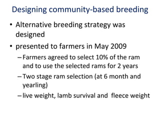 Achievement of the community based sheep breeding project in Menz area