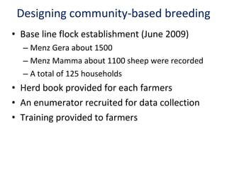 Achievement of the community based sheep breeding project in Menz area