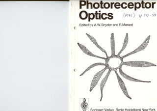 Menzel chapter in photoreceptor 100dpi