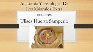 Anatomía Y Fisiología De
Los Músculos Extra
oculares
Ulises Huerta Samperio
 