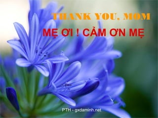 THANK YOU, MOM
MẸ ƠI ! CẢM ƠN MẸ
PTH - gxdaminh.net
 