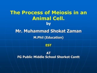 The Process of Meiosis in an
Animal Cell.
by
Mr. Muhammad Shokat Zaman
M.Phil (Education)
EST
AT
FG Public Middle School Shorkot Cantt
 