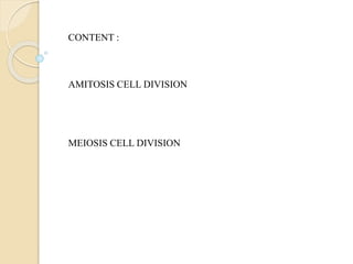 Meosis cell division | PPT