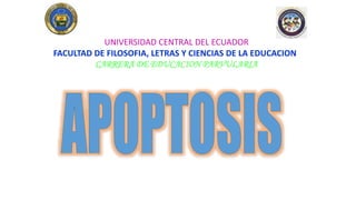 UNIVERSIDAD CENTRAL DEL ECUADOR
FACULTAD DE FILOSOFIA, LETRAS Y CIENCIAS DE LA EDUCACION
CARRERA DE EDUCACION PARVULARIA
 