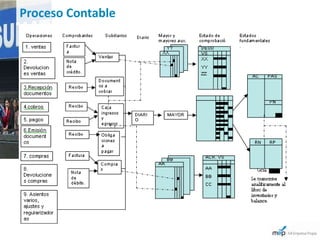 Proceso Contable
 