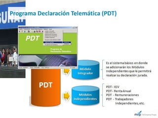 Programa Declaración Telemática (PDT)
 