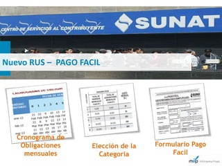 Nuevo RUS – PAGO FACIL




   Cronograma de
    Obligaciones    Elección de la   Formulario Pago
     mensuales        Categoria           Facil
 