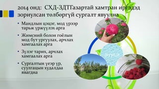 2014 онд: СХД-ЗДТГазартай хамтран иргэдэд
зориулсан төлбөргүй сургалт явуулна
• Мандлын цэцэг, мод үрээр
тарьж үржүүлэх арга
• Жимсний болон гоёлын
мод бут ургуулах, арчлах
хамгаалах арга
• Зүлэг тарих, арчлах
хамгаалах арга
• Сургалтын үеэр үр,
суулгацын худалдаа
явагдна

агуулга

 