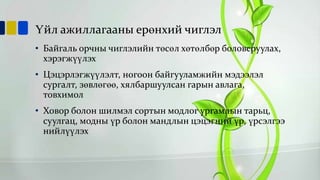 Үйл ажиллагааны ерөнхий чиглэл
• Байгаль орчны чиглэлийн төсөл хөтөлбөр боловсруулах,
хэрэгжүүлэх
• Цэцэрлэгжүүлэлт, ногоон байгууламжийн мэдээлэл
сургалт, зөвлөгөө, хялбаршуулсан гарын авлага,
товхимол

• Ховор болон шилмэл сортын модлог ургамлын тарьц,
суулгац, модны үр болон мандлын цэцэгний үр, үрсэлгээ
нийлүүлэх

 