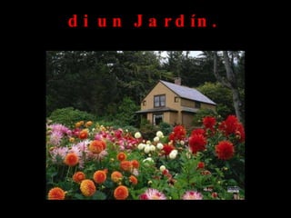 d i u n J a r d ín .
 