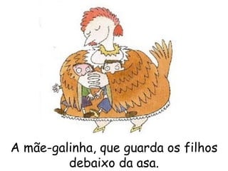 A mãe-galinha, que guarda os filhos debaixo da asa. 