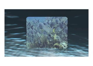 Aromatic electrophilic substitution